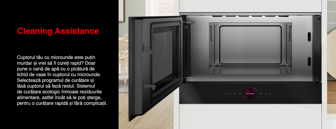 Cleaning_Assistance_microunde.jpg