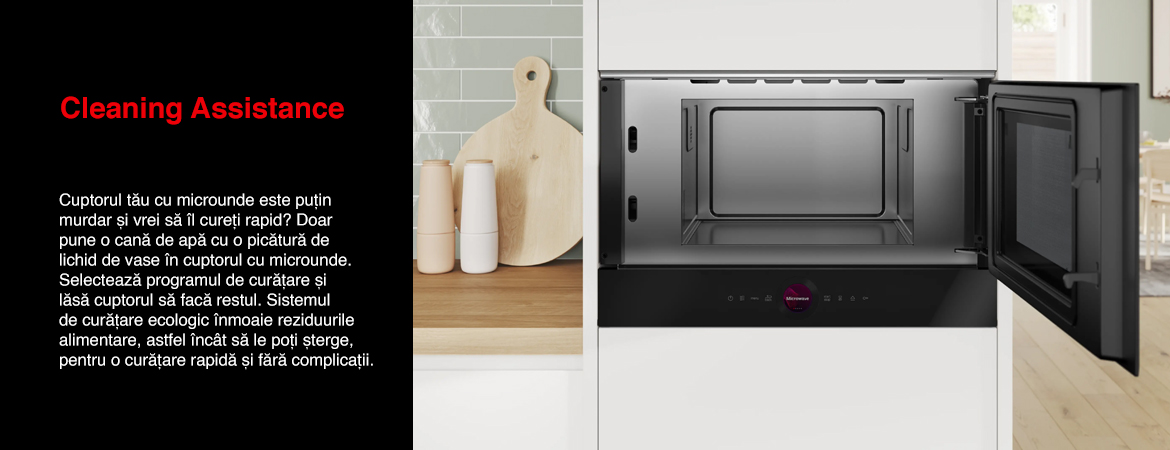 Cleaning_Assistance_microunde.jpg