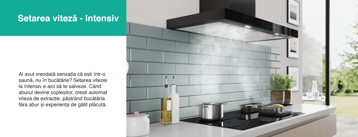 Viteza_intensiv.jpg